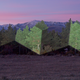 Illustration for article titled Light transforms trees into floating geometric structures